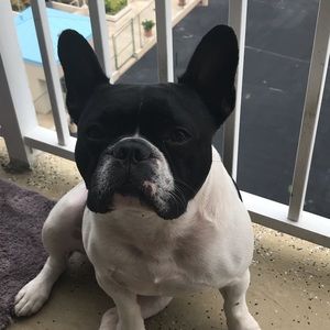 Meet your Posher, Jonathan